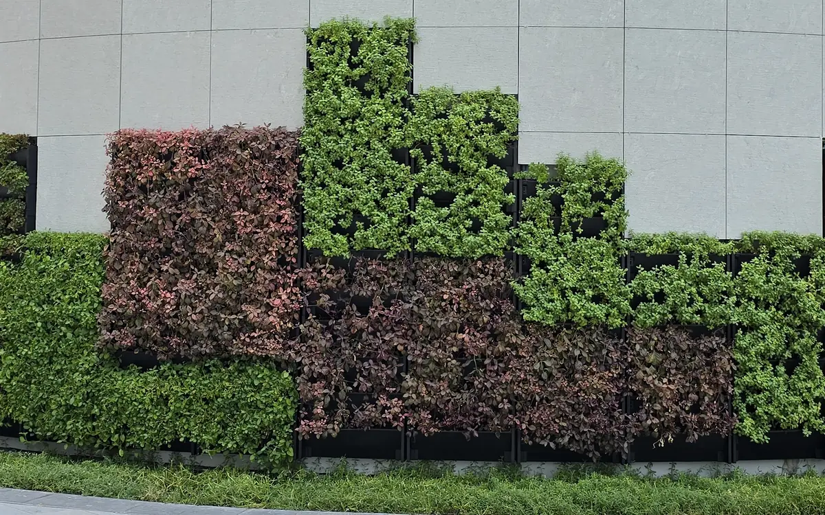 Close view of blocks of red and green foliage meeting the pale stone cladding
