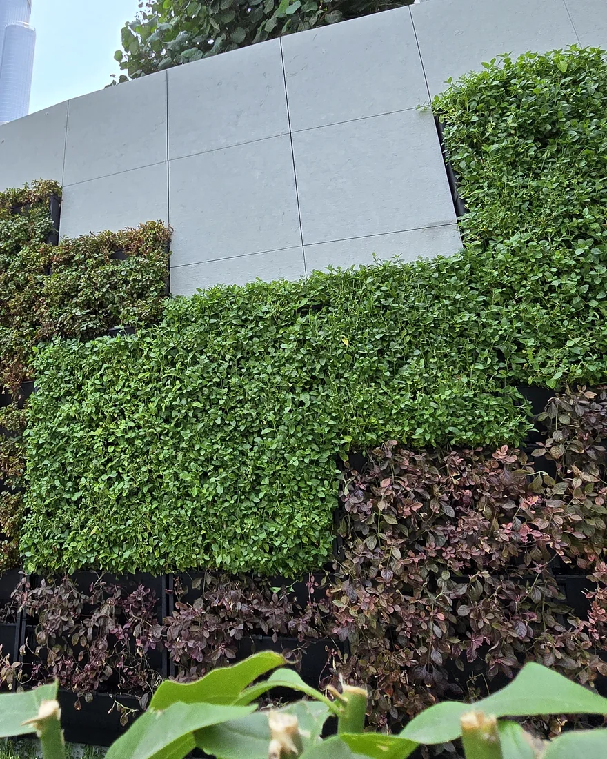 Stepped blocks of green and copper planting in the PlantBox troughs of the Plot B4 wall
