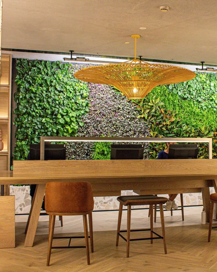 A full-height living wall behind a timber reception table and stools, under a woven pendant light
