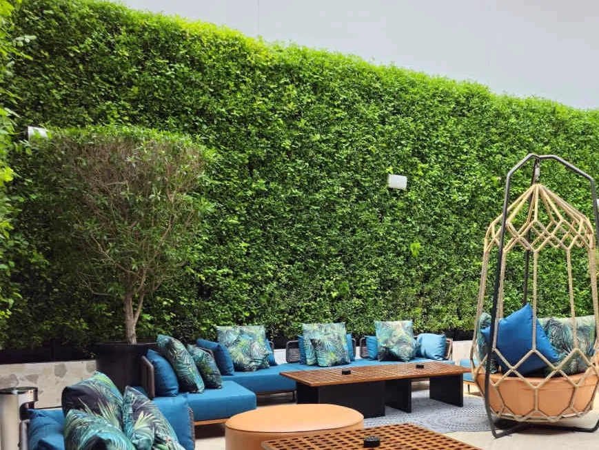 A tall, densely planted green wall behind blue lounge sofas in a hotel courtyard