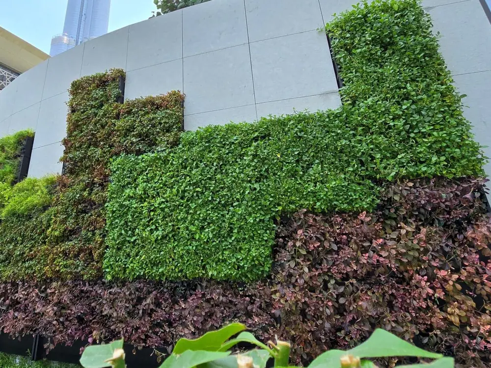PlantBox troughs on a curved forecourt wall, planted in stepped blocks of green and burgundy foliage against pale stone cladding