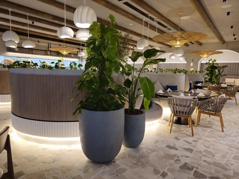 Indoor plants in tall planters beside a curved reception counter
