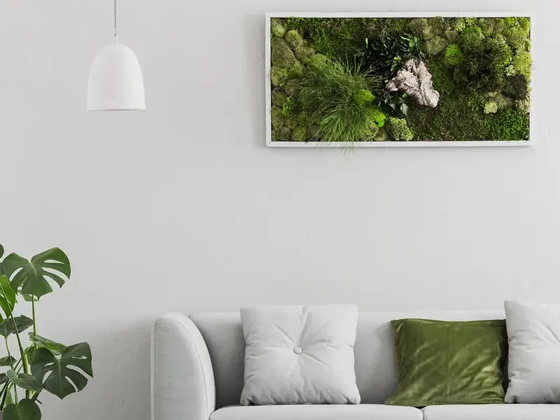 Framed preserved moss panel on a living room wall